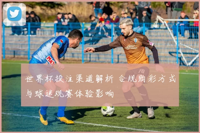 世界杯投注渠道解析 合规购彩方式与球迷观赛体验影响