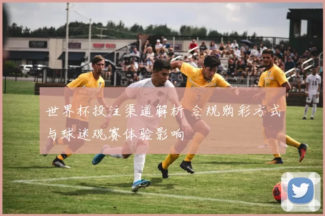 世界杯投注渠道解析 合规购彩方式与球迷观赛体验影响