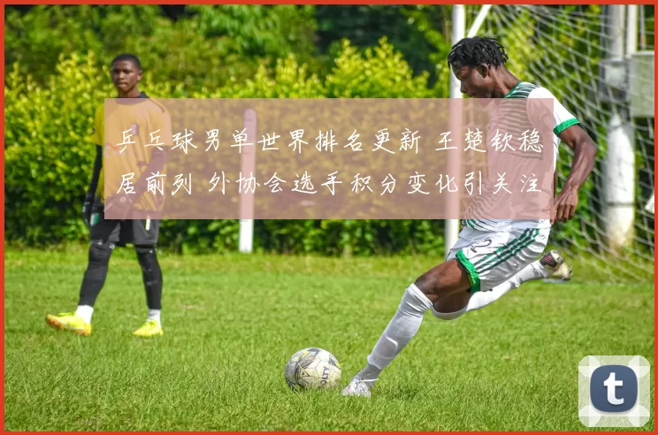 乒乓球男单世界排名更新 王楚钦稳居前列 外协会选手积分变化引关注