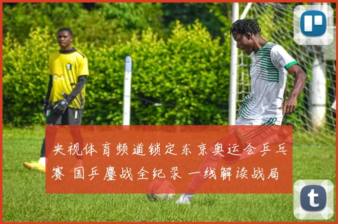 央视体育频道锁定东京奥运会乒乓赛 国乒鏖战全纪录 一线解读战局焦点