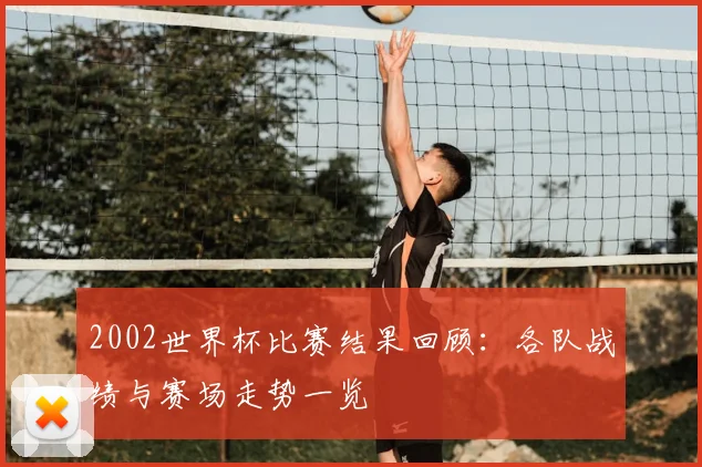 2002世界杯比赛结果回顾：各队战绩与赛场走势一览