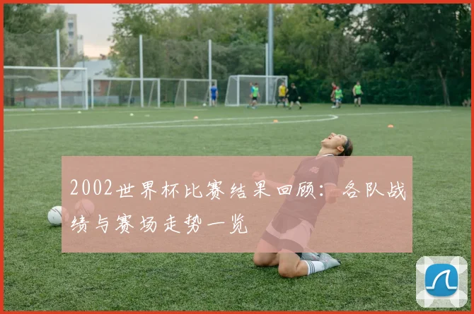 2002世界杯比赛结果回顾：各队战绩与赛场走势一览